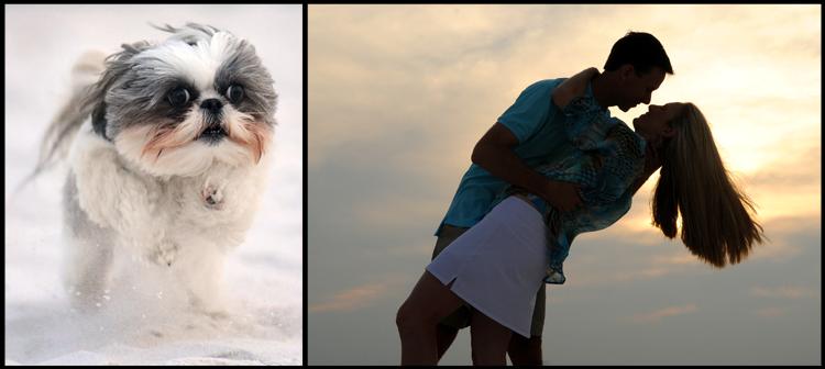 Left, "The Beast" runs down the beach. At right, a happy couple enjoys a sunset moment. Panama City Beach Sunset Family Photo Session